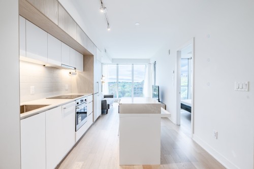 Cuisine - 901-1288 Rue St-Antoine O., Montréal (Ville-Marie), QC - Indoor Photo Showing Kitchen With Upgraded Kitchen