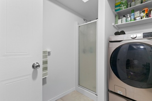 Bathroom - 87 Ch. Des Couleurs, Saint-Sauveur, QC - Indoor Photo Showing Laundry Room