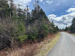 25-47 Barry's Island North Avondale, NL A0A 1B0