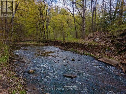Grindstone Creek, across the street. - 1343 Hidden Valley Road, Burlington, ON 