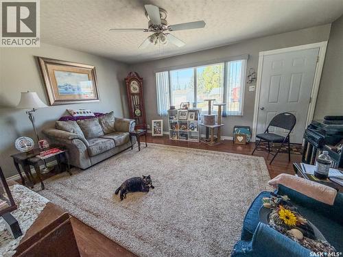 319 March Avenue E, Langenburg, SK - Indoor Photo Showing Living Room
