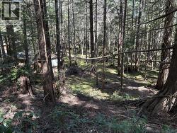 1908 VANCOUVER BLVD Savary Island, BC None