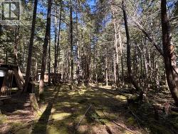 1908 VANCOUVER BLVD Savary Island, BC None