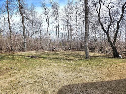 32 Elm Crescent, Bifrost Rm, MB - Outdoor With View