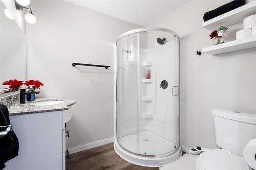 281 Springfield Road, Winnipeg, MB - Indoor Photo Showing Bathroom