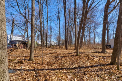 Boisé - 123 75E Avenue, Sainte-Barbe, QC - Outdoor With View