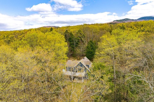 Aerial View - 191 Ch. Des Pinsons, Sutton, QC - Outdoor With View