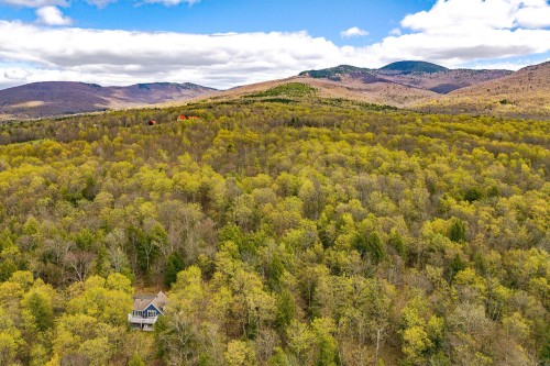 Overall view - 191 Ch. Des Pinsons, Sutton, QC - Outdoor With View