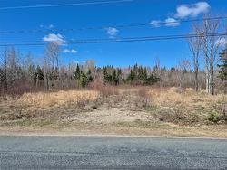 160 Ch Jean-Louis  Tremblay, NB E8J 3B7