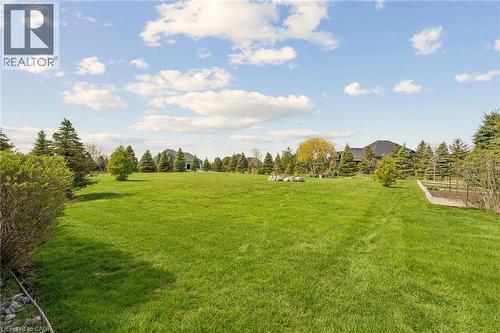 Expansive green lawn surrounded by mature evergreen trees - 10 Brolley Crescent, Thornton, ON - Outdoor With View