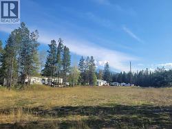 1112 14TH AVENUE Valemount, BC V0E 2Z0