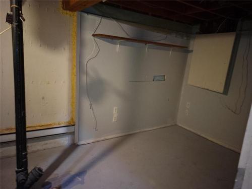393 Tweed Avenue, Winnipeg, MB - Indoor Photo Showing Basement