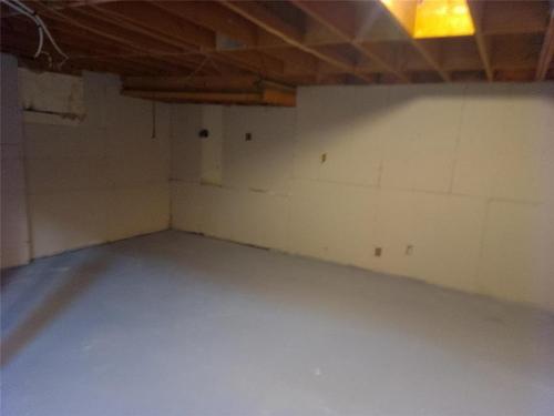 393 Tweed Avenue, Winnipeg, MB - Indoor Photo Showing Basement