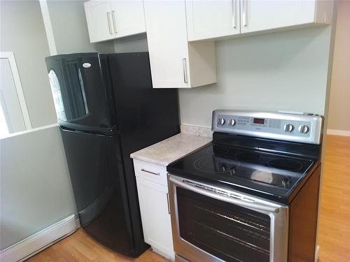 393 Tweed Avenue, Winnipeg, MB - Indoor Photo Showing Kitchen