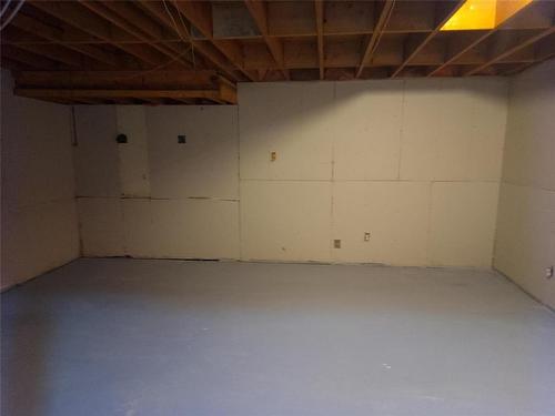 393 Tweed Avenue, Winnipeg, MB - Indoor Photo Showing Basement