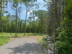 378 STATION ROAD  Marmora And Lake (Marmora Ward), ON K0K 2M0