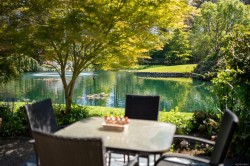 #125-2345 Cedar Hill Cross Rd Oak Bay, BC V8P 5M8