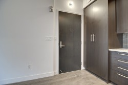 Hall d'entrée/Vestibule - 