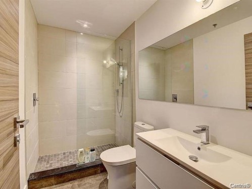 Bathroom - 212-315 Rue Richmond, Montréal (Le Sud-Ouest), QC - Indoor Photo Showing Bathroom