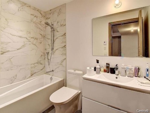 Master Bathroom - 212-315 Rue Richmond, Montréal (Le Sud-Ouest), QC - Indoor Photo Showing Bathroom