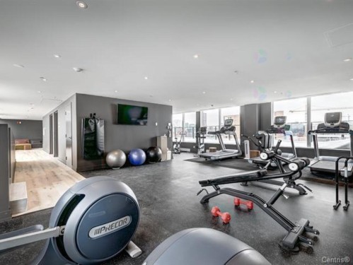 Exercise Room - 212-315 Rue Richmond, Montréal (Le Sud-Ouest), QC - Indoor Photo Showing Gym Room