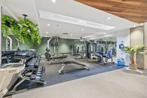 Exercise Room - 656-288 Rue Richmond, Montréal (Le Sud-Ouest), QC - Indoor Photo Showing Gym Room
