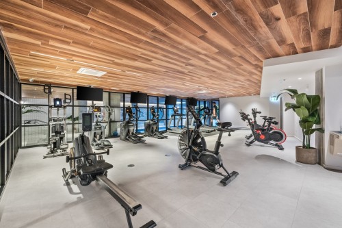 Exercise Room - 656-288 Rue Richmond, Montréal (Le Sud-Ouest), QC - Indoor Photo Showing Gym Room