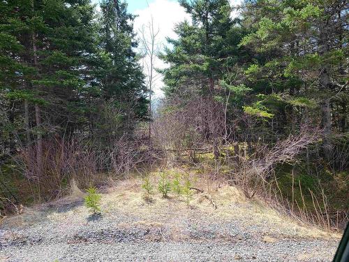 Highway 344, Manassette Lake, NS 