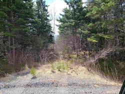 Highway 344  Manassette Lake, NS B0H 1G0