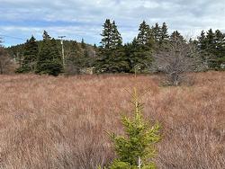 178-208 Conception Bay Highway Avondale, NL A0A 1B0
