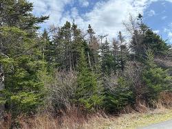 198-220 Dock Ridge Road Avondale, NL A0A 1B0