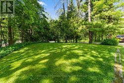 Backyard. - 