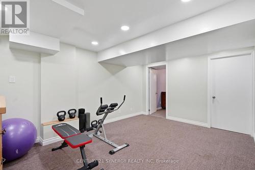 basement recroom - 417 Sandhamn Private, Ottawa, ON - Indoor Photo Showing Gym Room