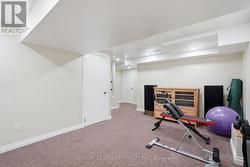 basement recroom - 