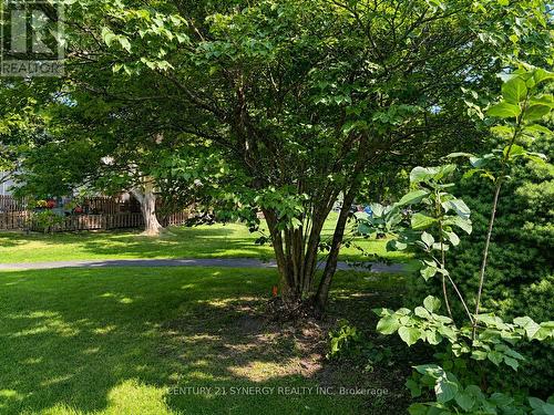 yard - 417 Sandhamn Private, Ottawa, ON - Outdoor