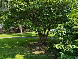 yard - 
