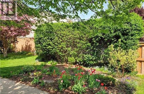 5 Havenwood Court, Kitchener, ON - Outdoor