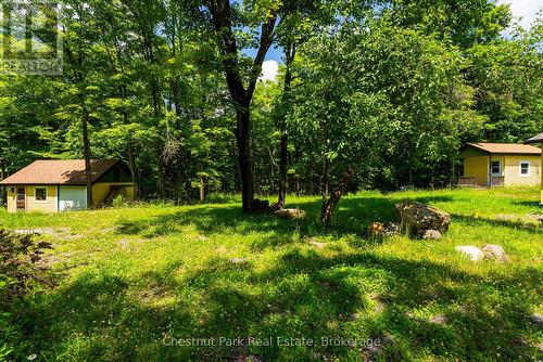 1435 Juddhaven Road, Muskoka Lakes (Medora), ON - Outdoor