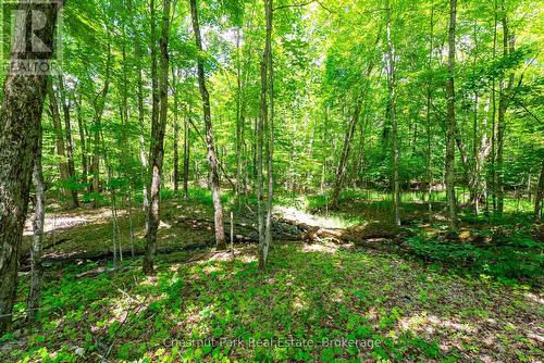 1435 Juddhaven Road, Muskoka Lakes (Medora), ON - Outdoor