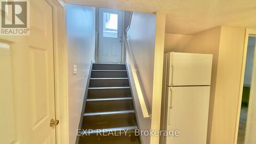 16 Marshall Street, Waterloo, ON 