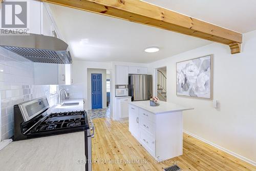 59 Lewis Crescent, Kitchener, ON - Indoor Photo Showing Kitchen