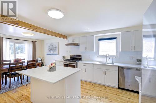 59 Lewis Crescent, Kitchener, ON - Indoor Photo Showing Kitchen