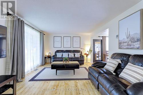 59 Lewis Crescent, Kitchener, ON - Indoor Photo Showing Living Room