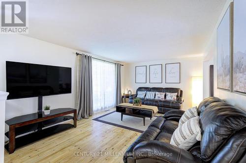 59 Lewis Crescent, Kitchener, ON - Indoor Photo Showing Living Room