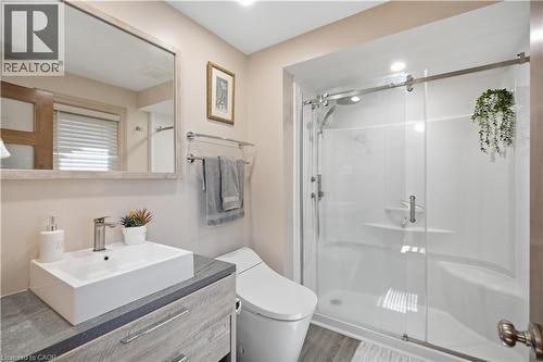 162 5Th Conc Road E, Flamborough, ON - Indoor Photo Showing Bathroom