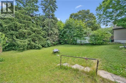 Expansive grassy yard area with mature perimeter trees and concrete steps - 95 Forest Road, Cambridge, ON - Outdoor