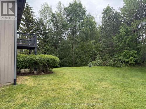 329 Mariners Way, Collingwood, ON - Outdoor
