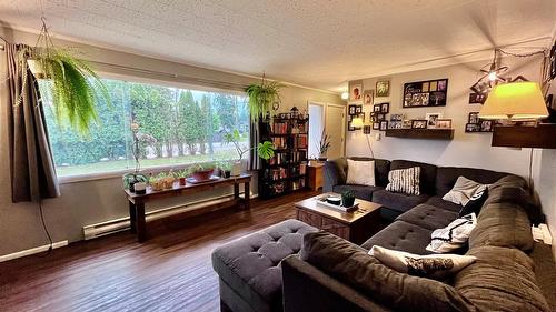 807 23 Highway, Nakusp, BC - Indoor Photo Showing Living Room
