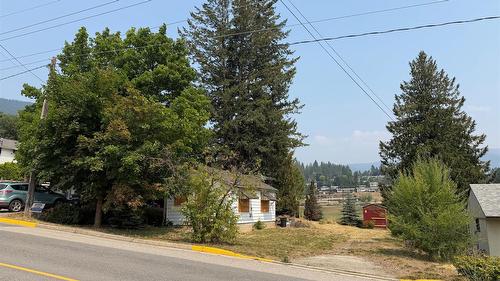 226 16Th Avenue, Creston, BC - Outdoor