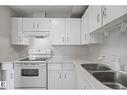 1096 Knottwood Rd E Nw, Edmonton, AB  - Indoor Photo Showing Kitchen With Double Sink 
